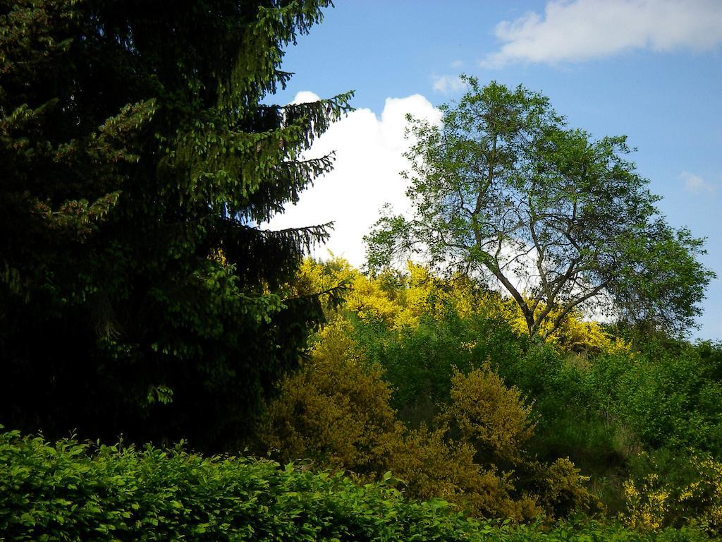 Hotel Auszeit Am Eifelsteig Daun Exteriér fotografie
