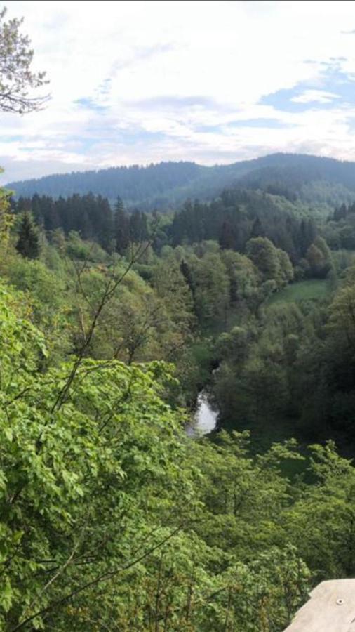Hotel Auszeit Am Eifelsteig Daun Exteriér fotografie
